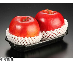 pbNX^C ʁE_Ye BPt[c2M}h  100×12pbN 1P[X(100×12pbN) 00588964