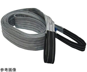 フリーク CEベルトスリングE型 使用荷重3150kg 幅100mm 長さ4.5m 1本 65745