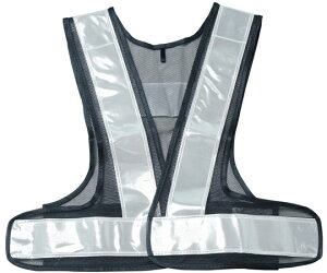 쏤 SxXg pt[TCY × 1 WS2702