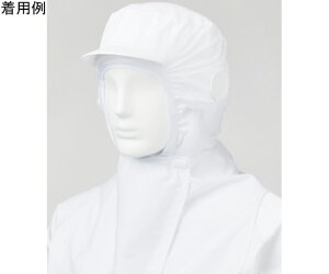 TGX jp炢ۃ}XNttt[hLbv zCg t[ 1 FX75020