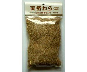 tWw v~A]yǍލp VR 1