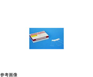 �������w �V����S�X�^�[�t���X�g�������i�V�F���s���N�j�@100���� 1��(100����) 516615