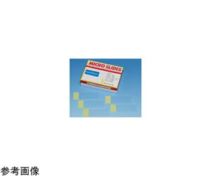 �������w New�V����3�X�^�[�t���X�g�������i�V�F���s���N�j�@100���� 1��(100����) 516618