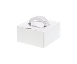 tP[L HCzCg H80 4 10 1pbN(10) 004260115