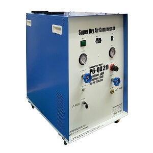 ACEGCEV[ N[GA[RvbT[ 20NL/min 1 P6-QD20