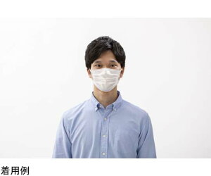 ACXI[} imGA[}XN ӂ PK-NI7L(7}CC)