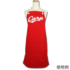 z핞 J[v ԃfjGv 1 CARP-4