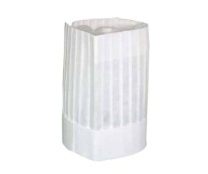 fBJ VFtnbg@p^@25cm 1P[X(10×20ܓ) CH-1250