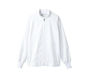 Zu Wp[ jp   GR 1 8-411 S