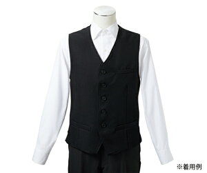 Zu xXg Y  1 GS6981-1 L