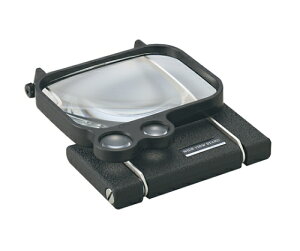 Chr[X^h[y1795 1 F2I1795