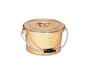 IIC イ_A}Cg ی^d H 213-BG 1 1129800