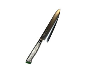 江部松商事 EBM E-pro PLUS 牛刀 21cm グリーン 1個 8734140
