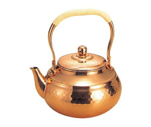 �V������ �� �Ɩړ� �j���[�^�C�v �P�b�g�� SC-2009 2L 1�� 755200