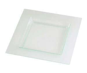 \A fBA}ev[g NAO[ PS31130(10)250×250 1g(10) 5187500