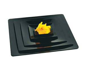 \A tCh ubN PL20233(10)160×160 1g(10) 5528400