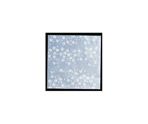 A[ebN NA~ (100)CS-300 ua 1g(100) 6915300