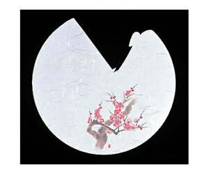 �A�[�e�b�N �V�V �����ڂ����l�G(100����)RB-04 �~ 1�g(100����) 5901900
