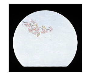 A[ebN ڎO ΂܂ RۉԘa(100)WH-9  1g(100) 6399800