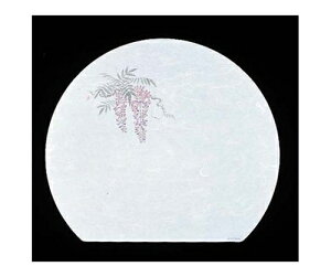 A[ebN ڎO ΂܂ RۉԘa(100)WH-10  1g(100) 6399900