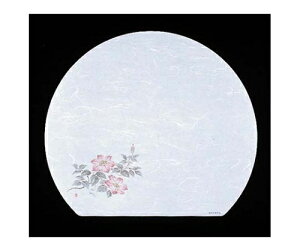 A[ebN ڎO ΂܂ RۉԘa(100)WH-12 S 1g(100) 6400100