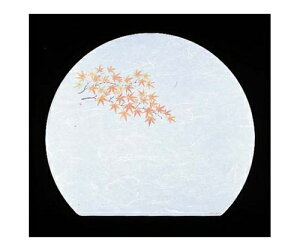 A[ebN ڎO ΂܂ RۉԘa(100)WH-13 ݂ 1g(100) 6400200