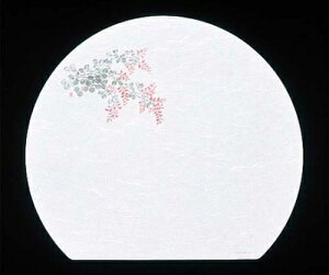 A[ebN ڎO ΂܂ RۉԘa(100)WH-17  1g(100) 8023000