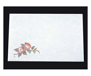 A[ebN ڎO ΂܂ RۉԘa(100)WS-2  1g(100) 6397300