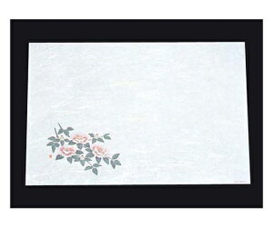 A[ebN ڎO ΂܂ RۉԘa(100)WS-5 R 1g(100) 6397600