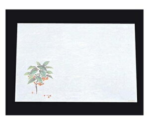 A[ebN ڎO ΂܂ RۉԘa(100)WS-6  1g(100) 6397700