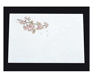 A[ebN ڎO ΂܂ RۉԘa(100)WS-9  1g(100) 6398000