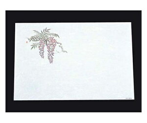 A[ebN ڎO ΂܂ RۉԘa(100)WS-10  1g(100) 6398100