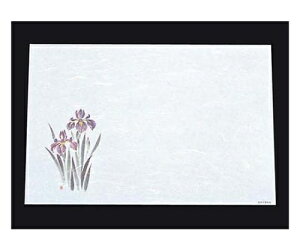 A[ebN ڎO ΂܂ RۉԘa(100)WS-11  1g(100) 6398200