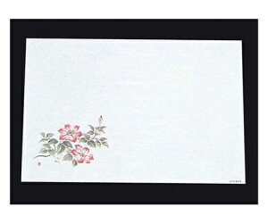 A[ebN ڎO ΂܂ RۉԘa(100)WS-12 S 1g(100) 6398300