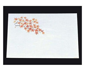 A[ebN ڎO ΂܂ RۉԘa(100)WS-13 ݂ 1g(100) 6398400