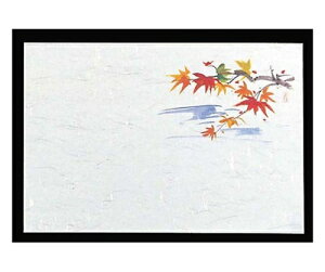 }C lG (100)M30-213 ݂ 1g(100) 6069100