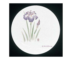 A[ebN aR[X^[ lG ی^(50)WCO-M4  1g(50) 7020700