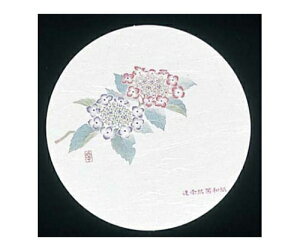 A[ebN aR[X^[ lG ی^(50)WCO-M5  1g(50) 7020800