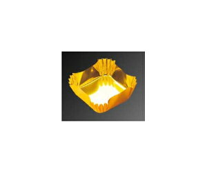 }C p^Jbv {ʂ̊ o(300)M33-755 1g(300) 4891600