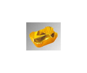 }C p^Jbv {ʂ̊ o(300)M33-757 1g(300) 4891800