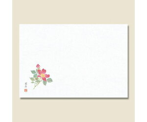 䎆 ae[u}bg PV[Y 9 ΂ 100 1pbN(100) 004660209