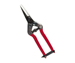 ߐ _ jؕt BP 1{ E-6C