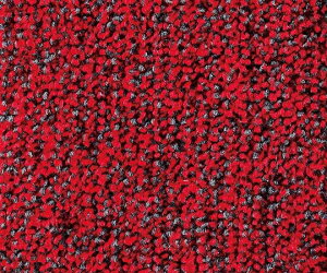 �R��Y�Ɓi�R���h���j �j���[�z���}�b�g #12(���b�h) 1�� F-176-12-R