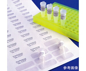 Diversified@Biotech 0.5mL`[up@^t^bO@V[g^Cv@u[ 1(119×25V[g) TTSW-2240-B