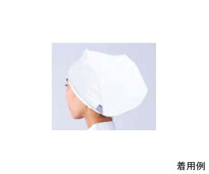 RE ^b`OpЁ@zCg 1 C1700-0