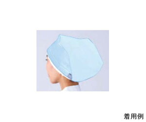 RE ^b`OpЁ@u[ 1 C1700-1