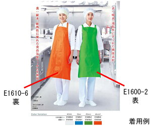 RE Ci[hCGv@|@zCg 1 E1610-0