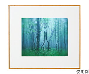 �P���R�[�E�g�L�i�[ �A���~�z���@�M�������[�@�l�؁@�i�`�������i�ؖڒ��j 1�� ACY-4-NA