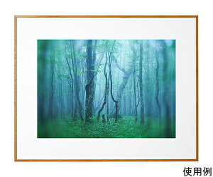 �P���R�[�E�g�L�i�[ �A���~�z���@�M�������[�@���C�h�l�؁@�i�`�������i�ؖڒ��j 1�� ACY-W4-NA