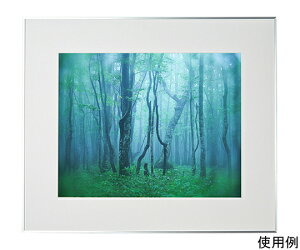 PR[EgLi[ A~z@M[@S@Vo[ 1 ACY-Z-SV